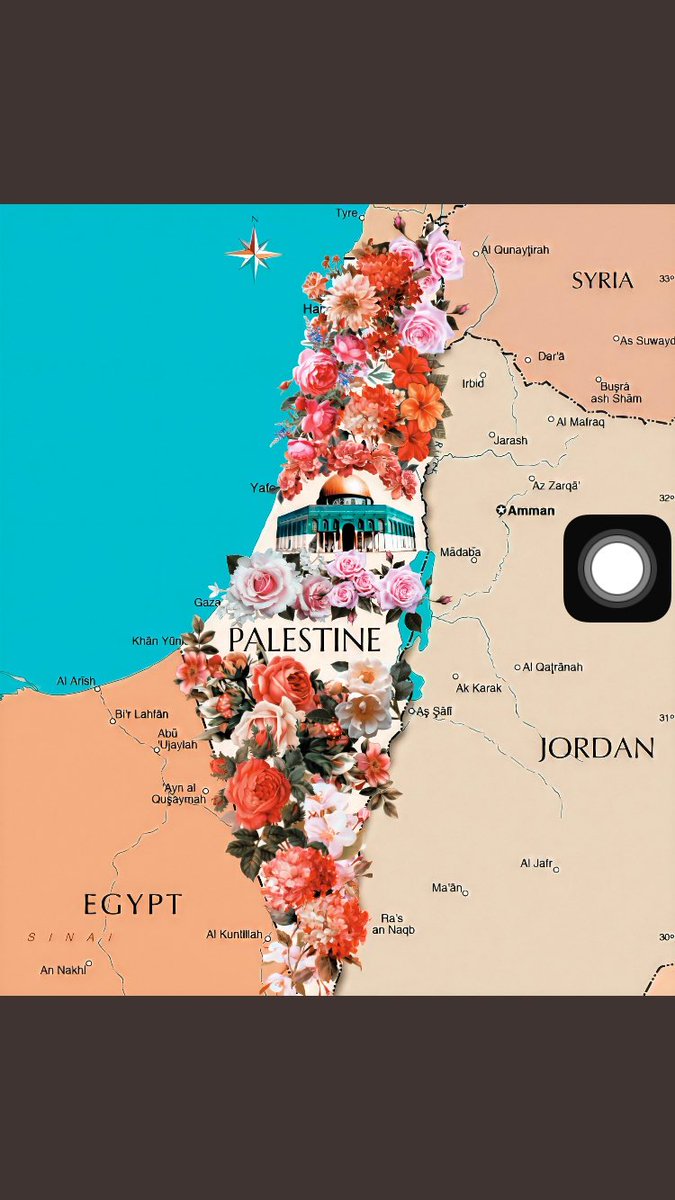ImammMeer's tweet photo. It was always Palestine 🇵🇸 It is Palestine 🇵🇸 It will always be Palestine 🇵🇸
#WeStandWithPalestine #GazaUnderAttack 
#PalestineBleeding https://t.co/qCbT5uffef