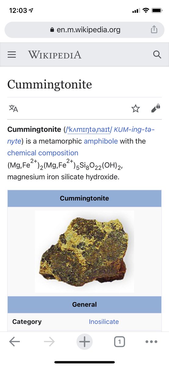 Pupperlad's tweet image. As a rock collector I can safely say I will not be