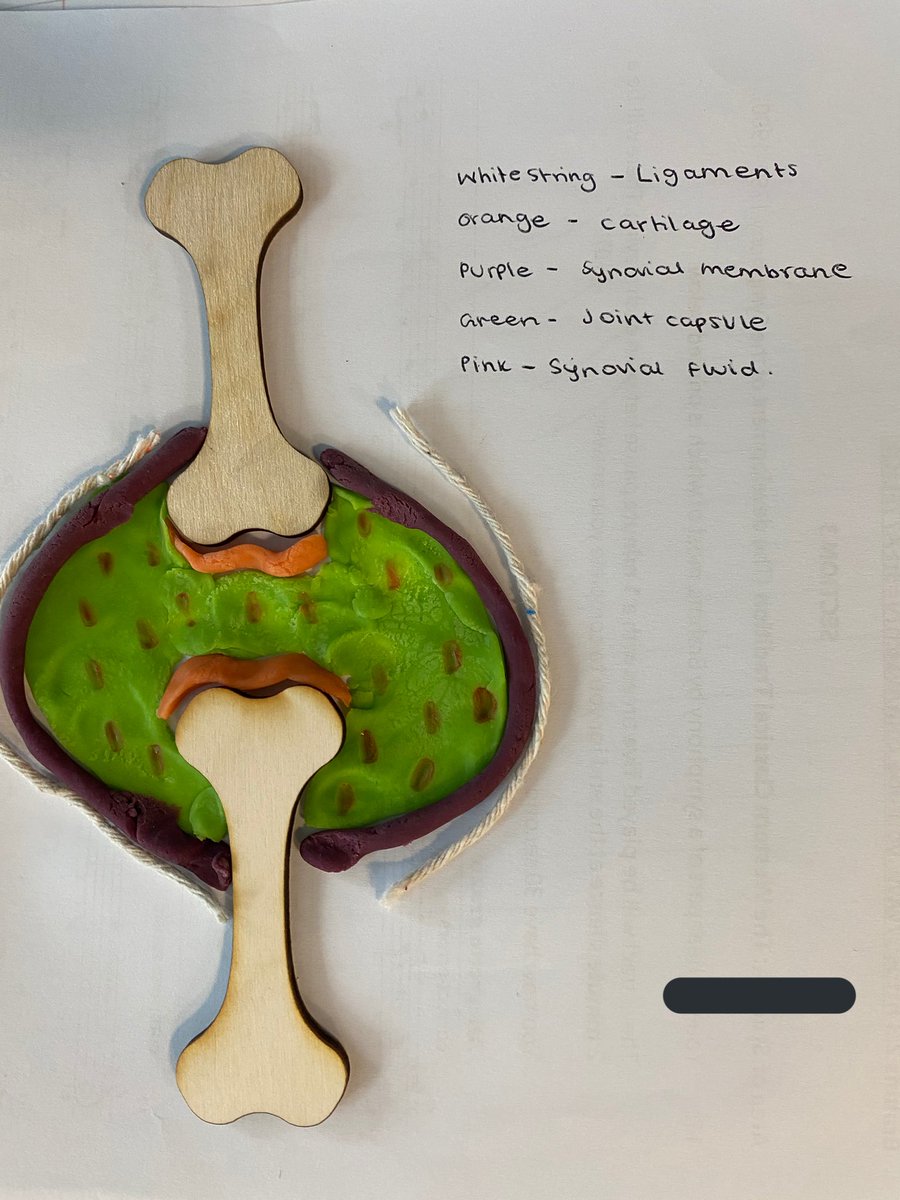ChobhamacadPE's tweet photo. @missrsoni’s #GCSEPE class spent the lesson creating the structure of a synovial joint. They were given wooden bones, string and play dough that represented different parts of the joint. Exploration lead to amazing models through questioning &amp; challenge. @chobhamacademy #EduPE https://t.co/6GYxW5CzRq