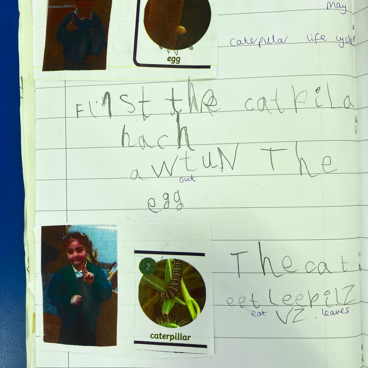 Meadowside Beech tweet media