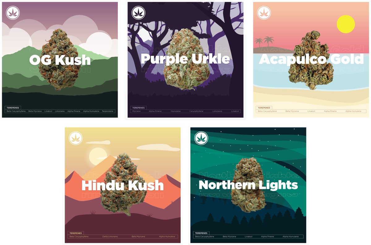 CCannabinoid's tweet photo. You have spoken, we have listened. Single Genesis Series #NFTs will soon be available. With 5 to choose from, which #NFT will you buy?

https://t.co/4Sxql4owNC

#NFTCommunity #NFTartist #nftcollectors #NFTARTFinance  #NFTsale #DeFi #cryptocurrency #Definews #CannabisCommunity https://t.co/M6SQMNhWd3