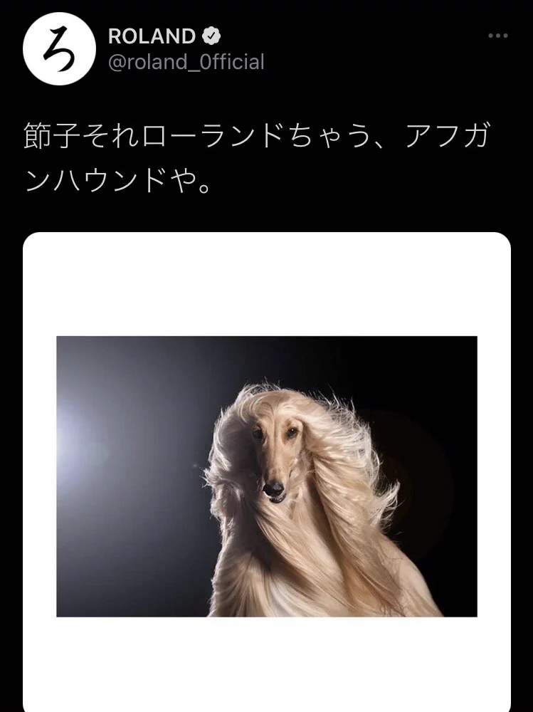 @syatomi_ アフガンバウンド(ローランドっぽい犬)も足して下さい 