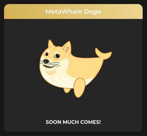 Soon Much Comes! MetaWhale Doge metawhale.io #MetaWhale $mwDOGE $mwBTC $MWG $PRIA