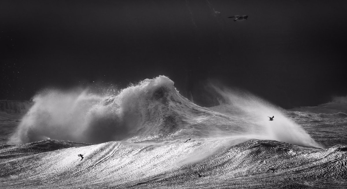 _EFarrellPhoto's tweet image. Cliffs of Moher, Ireland .. 🖤