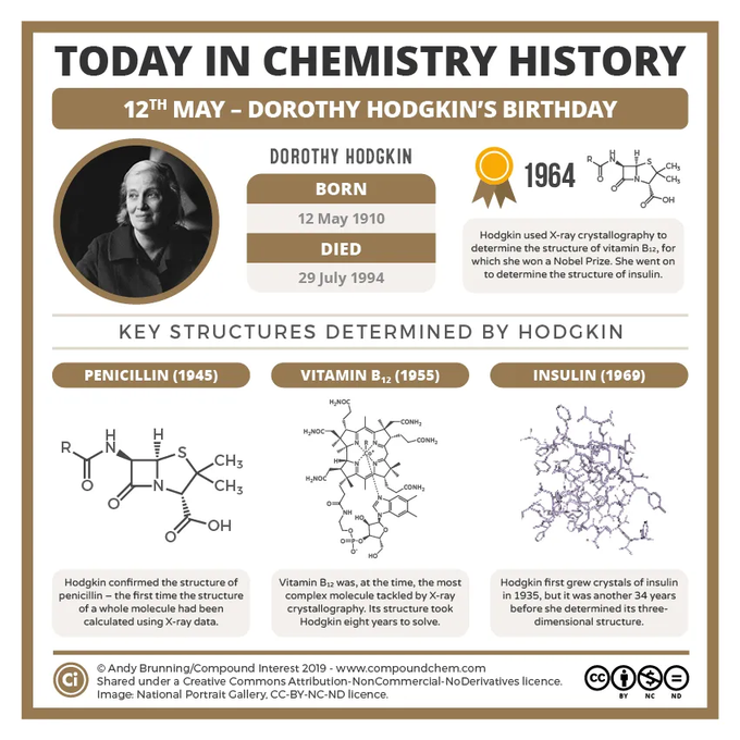 Infographic on Dorothy Hodgkin, highlighting her Nobel Prize-winning work determining the structures of penicillin, vitamin B-12 and insulin.