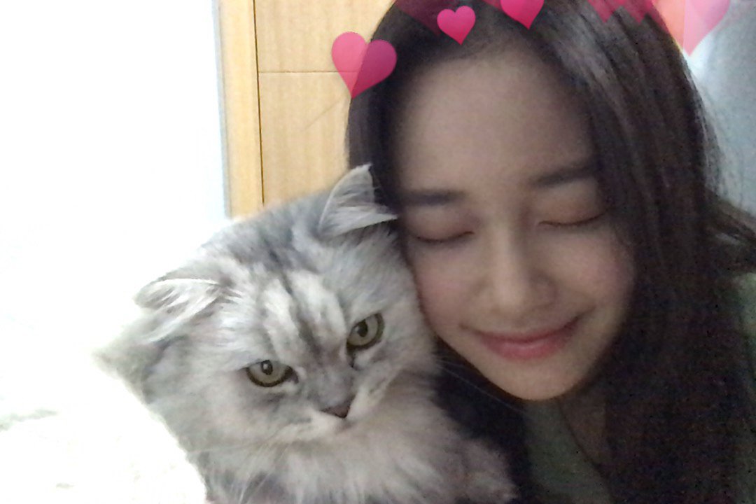 catgirls with their cats