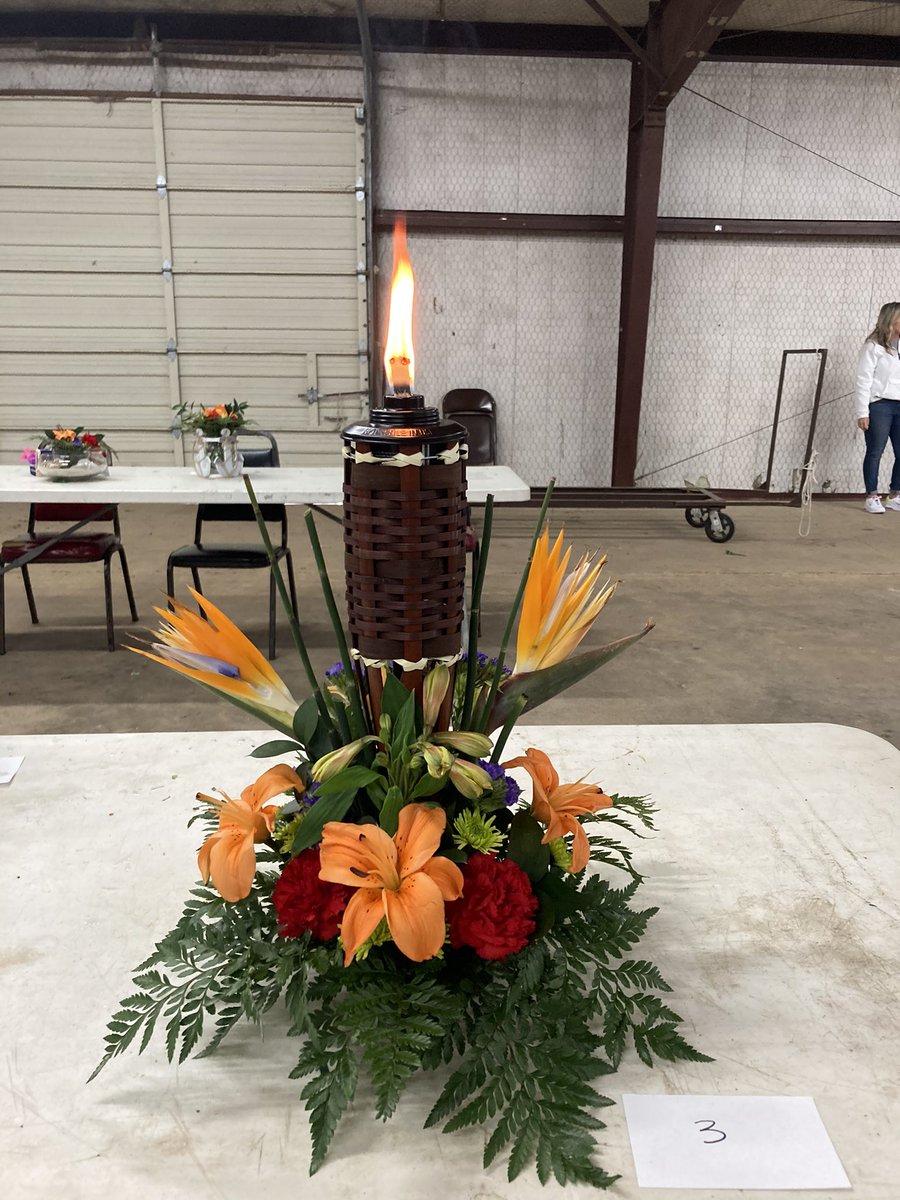 cantonffa's tweet image. 🍍🌺Van Floral Cup-Beach/Luau Theme🌺🍍

Congratulations to Jessica Stephen’s for placing 7th out of more than 70 entries in the Van FFA Floral Cup Competition held at the Van Zandt County Fairgrounds today!  Her fiery entry was definitely an eye catcher!!
