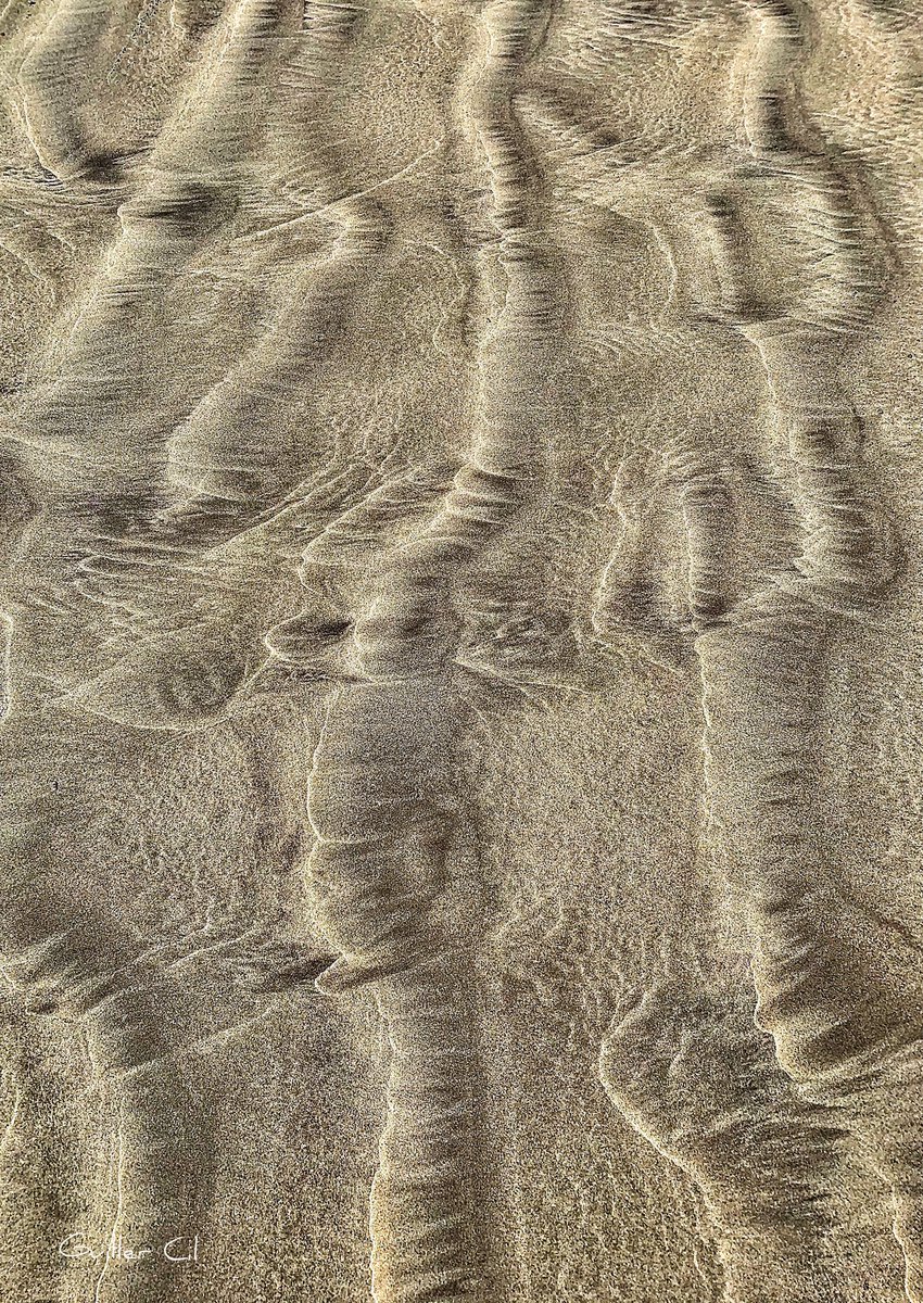 GuillerCil's tweet photo. Me fascina ir caminando por la playa y pararme a observar las caprichosas formas que las olas dibujan en la arena 
#ripplemarks 🤩
#BuenasNoches a todos. https://t.co/4X46cV1QGb