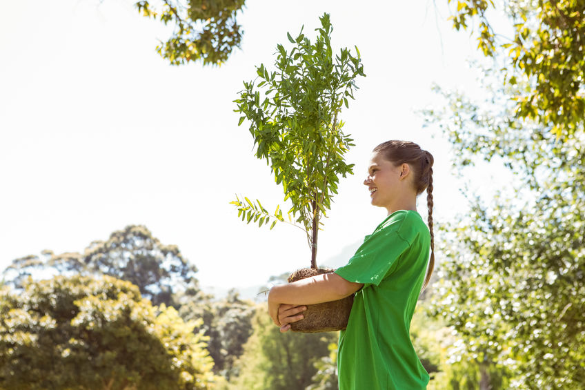 ForestTreeTX's tweet image. Do you need to move a problem tree to a new spot on your property? Follow these tree transplant steps to give it the best chance at survival!
foresttreeservicekingwood.com/how-to-safely-…