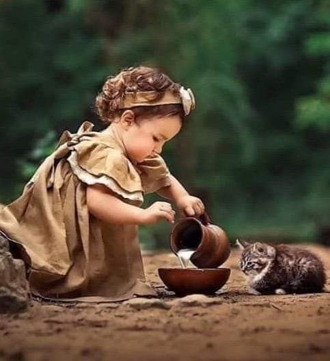 🎶❤مغردماركة❤🎵N❣ tweet media