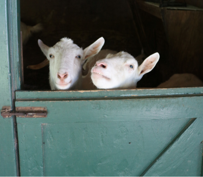 Pam & Brittany tweet media