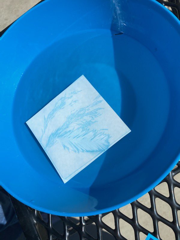 EDMS CARES After School Program tweet media