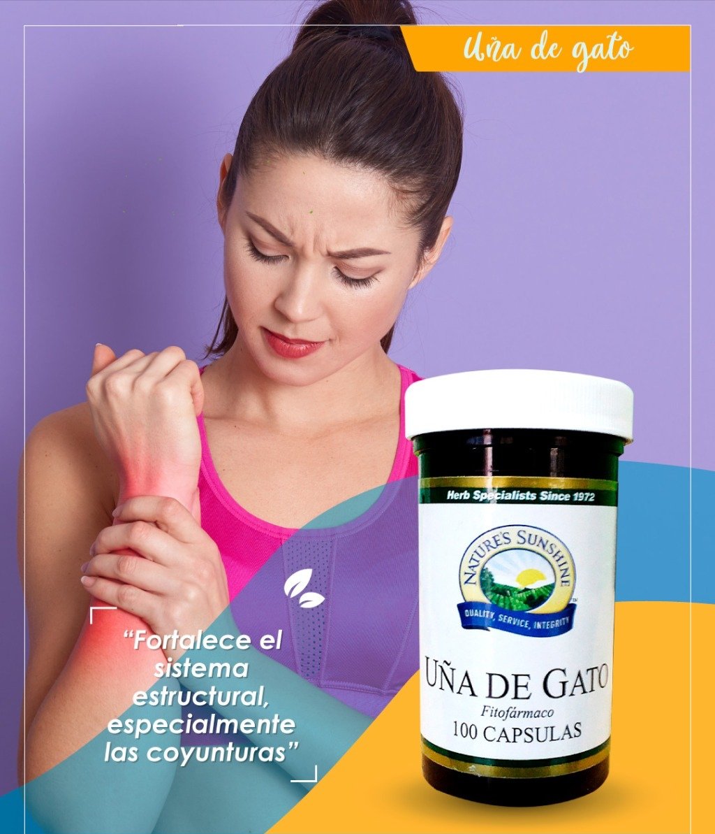 masbiosalud's tweet photo. Uña de Gato | Fortalece el Sistema Inmunológico
Apoya la función del sistema inmunológico y digestivo, ayuda a limpiar completamente el tracto digestivo
WhatsApp 📲 +593 96 986 3149
Únete en Telegram https://t.co/9rEHAX6qkv
#MasBioSalud #BioSalud #SaludTotal #UñadeGato https://t.co/qK9AJSmTHr