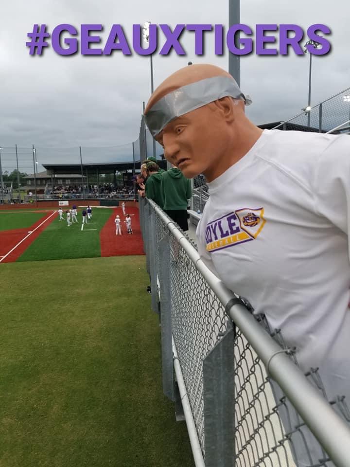 Doyle Tigers Baseball tweet media