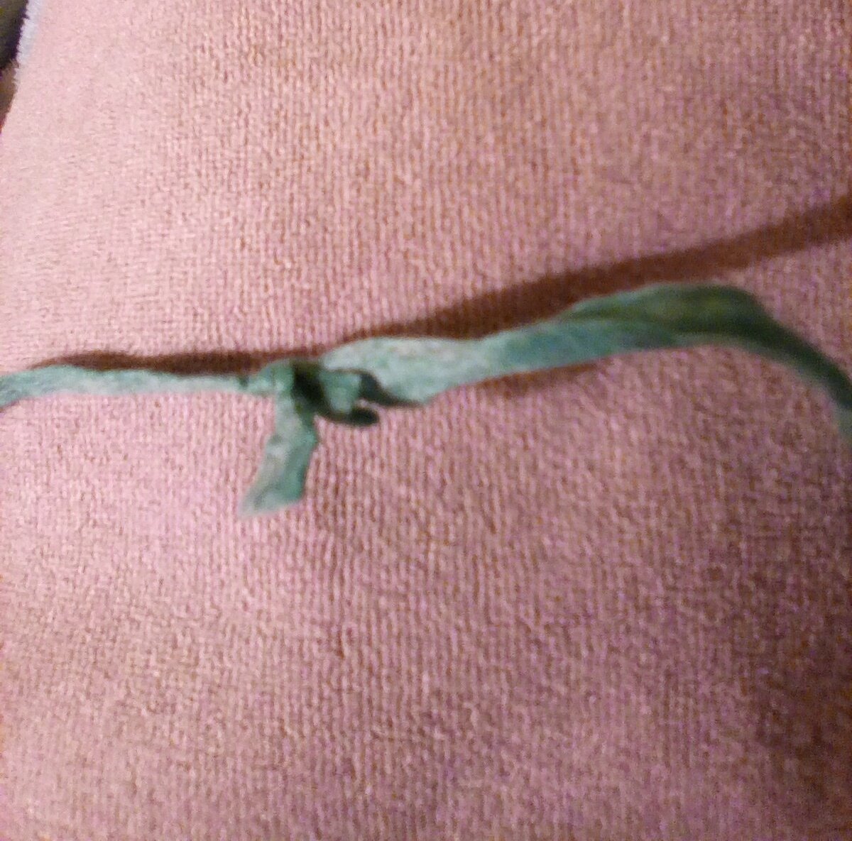 kimberly_2003's tweet image. honestly @LionBrandYarn, this yarn is too expensive for this to happen. first time buying Rewind Tape Yarn and this is not a good first experience. #crocheterProblems