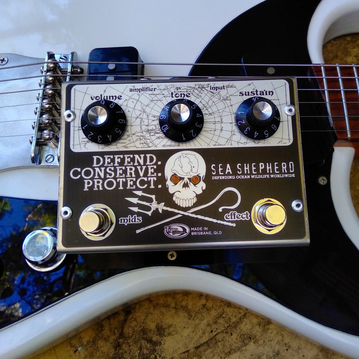 TymGuitars's tweet photo. The 11th official Tym Sea Shepherd Fuzz will be on the site at about midday tomorrow.

These are all one-off fuzzes hand built here in Brisbane for @seashepherd with all money going to @SeaShepherdBris to help them protect our oceans.

Huge thanks to Sea Shepherd. https://t.co/An0ffBtJJ1