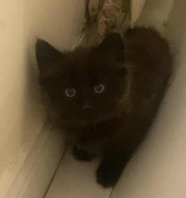 1 pic. Twitter, meet squidgy ?♥️ https://t.co/B9Z449coF2