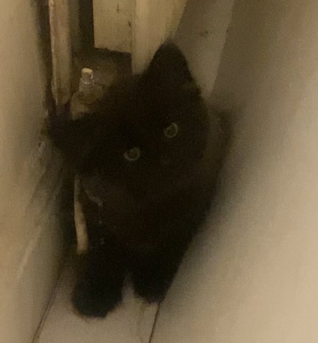 2 pic. Twitter, meet squidgy ?♥️ https://t.co/B9Z449coF2