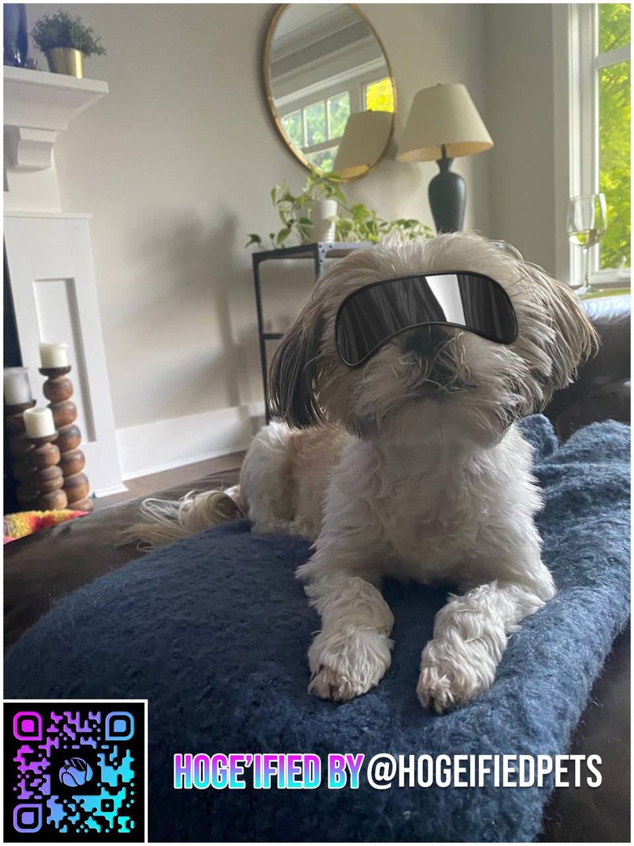HOGE’ified Pets tweet media