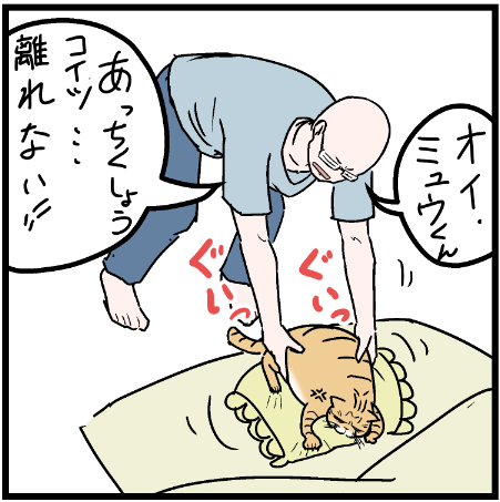 昔はみんな夢中になったものですw
 #ニャンコ #まんが #マンガ #猫  #ねこ #猫あるある #猫漫画 #ペット #飼い主 #エッセイ漫画 #キャット #ねこのいる生活 #漫画 