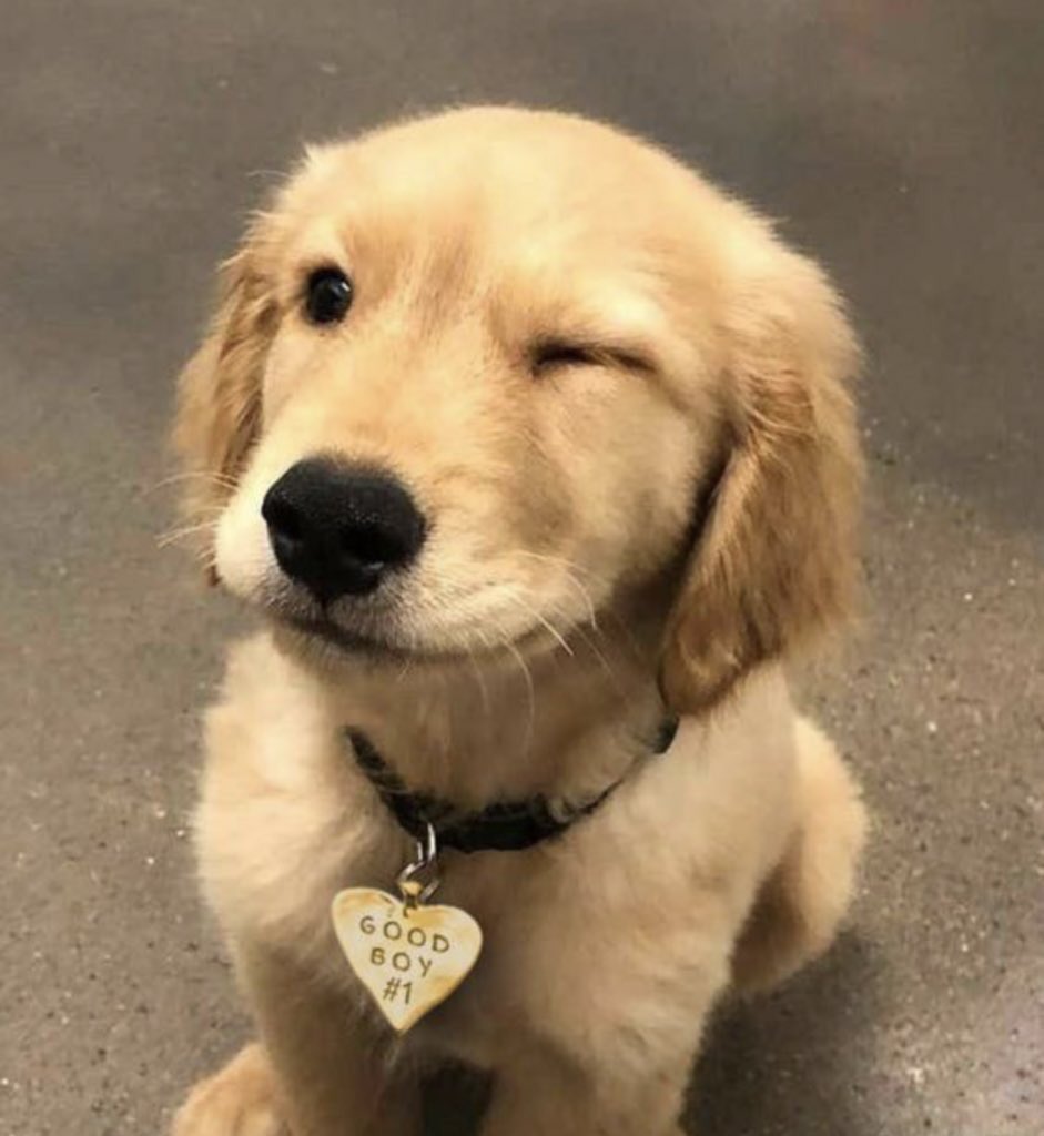 “วันนี้ก็พยายามเข้านะ
ยัยคนสวย ;•)”