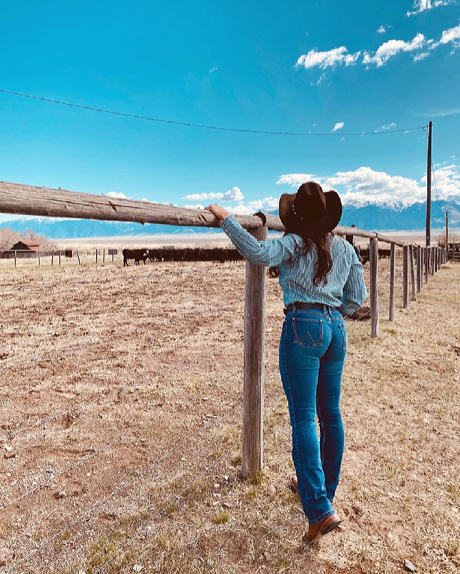 cows cows cows 
•
•
•
#Wrangler #americanhatco #western #cowgirl