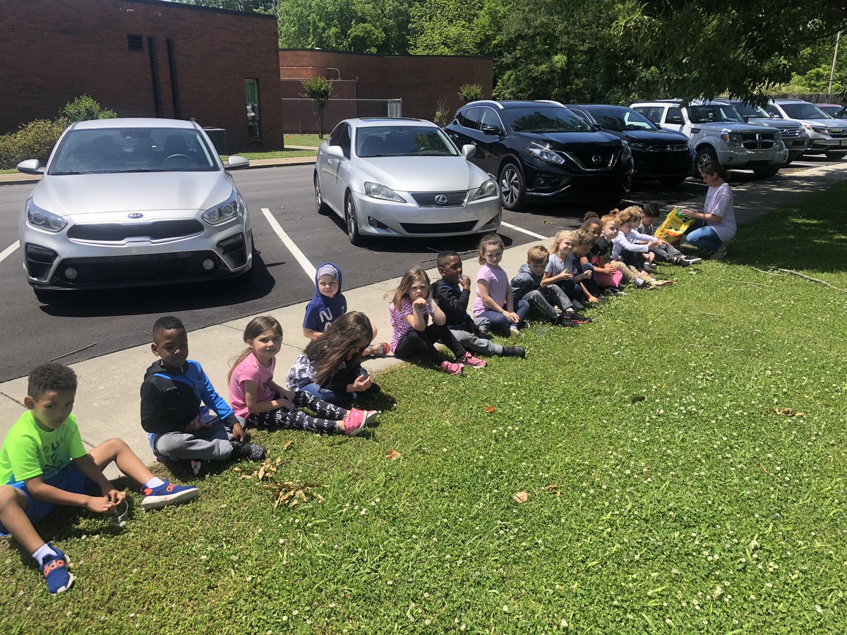 Mrs. Molly and Mrs. Kim's Prek class studying the life cycle of a sunflower.