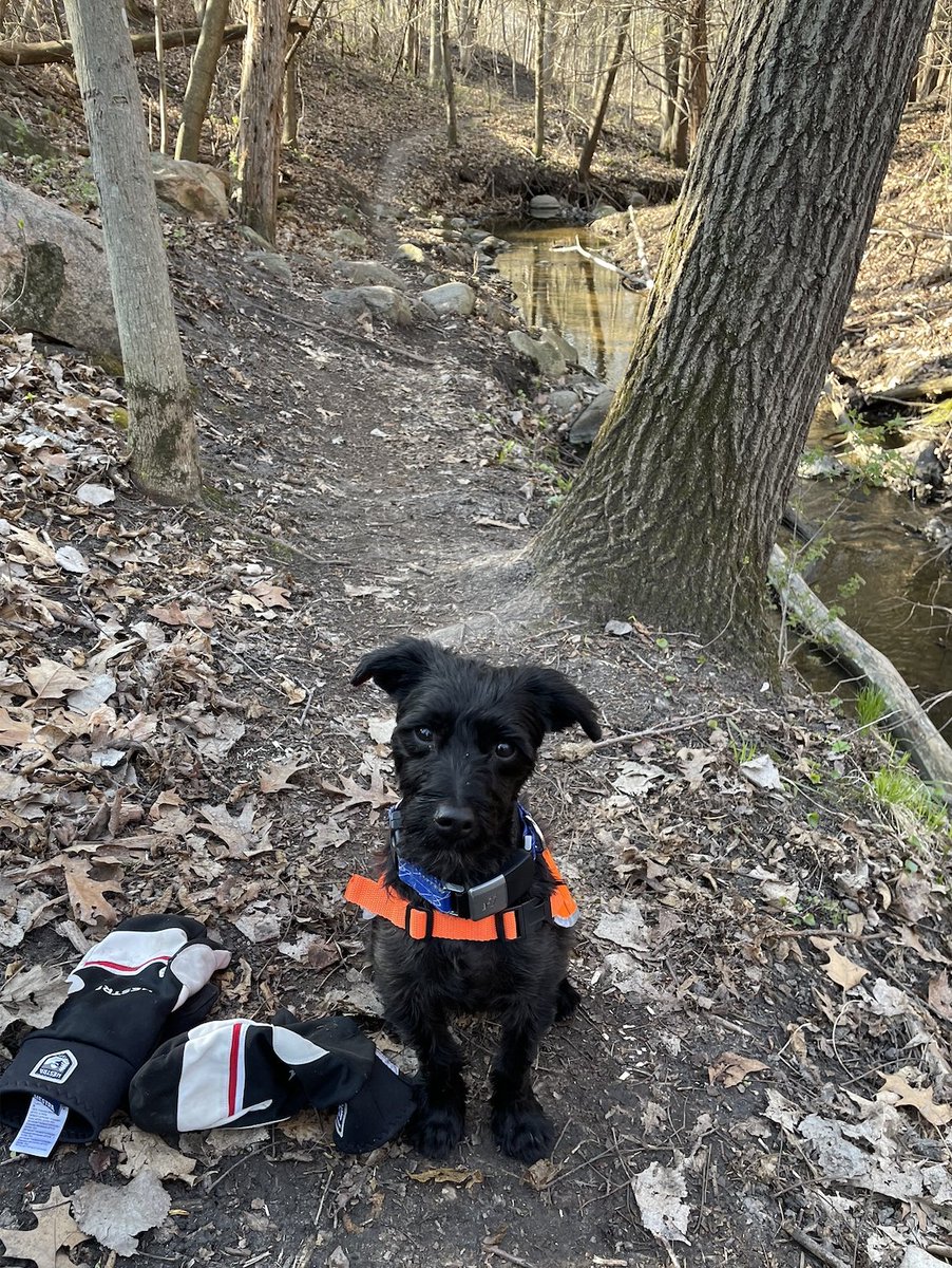 Happy Wednesday! Dude here checking in to make sure you're keeping up with your training and having an excellent week!
