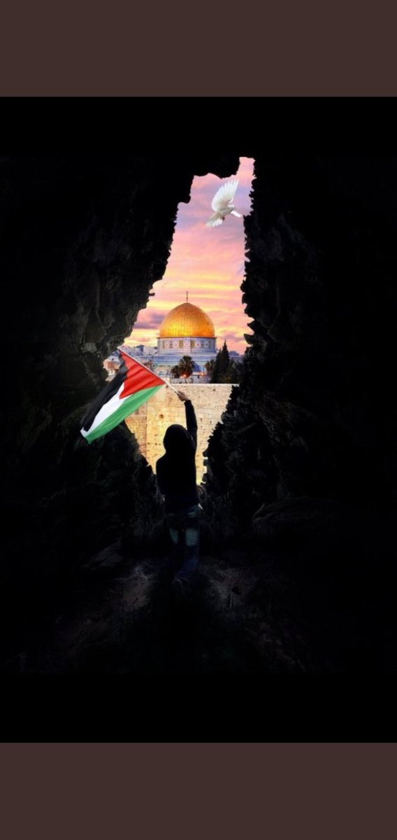 Mustafa24417021's tweet photo. YA ALLAHU SAVE PALESTINIANS . https://t.co/lB1wVfGV2S