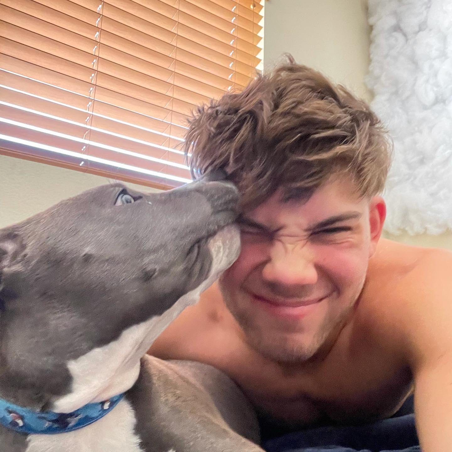 GRANT KNOCHE on X: &ldquo;good morning/afternoon lol https://t.co 