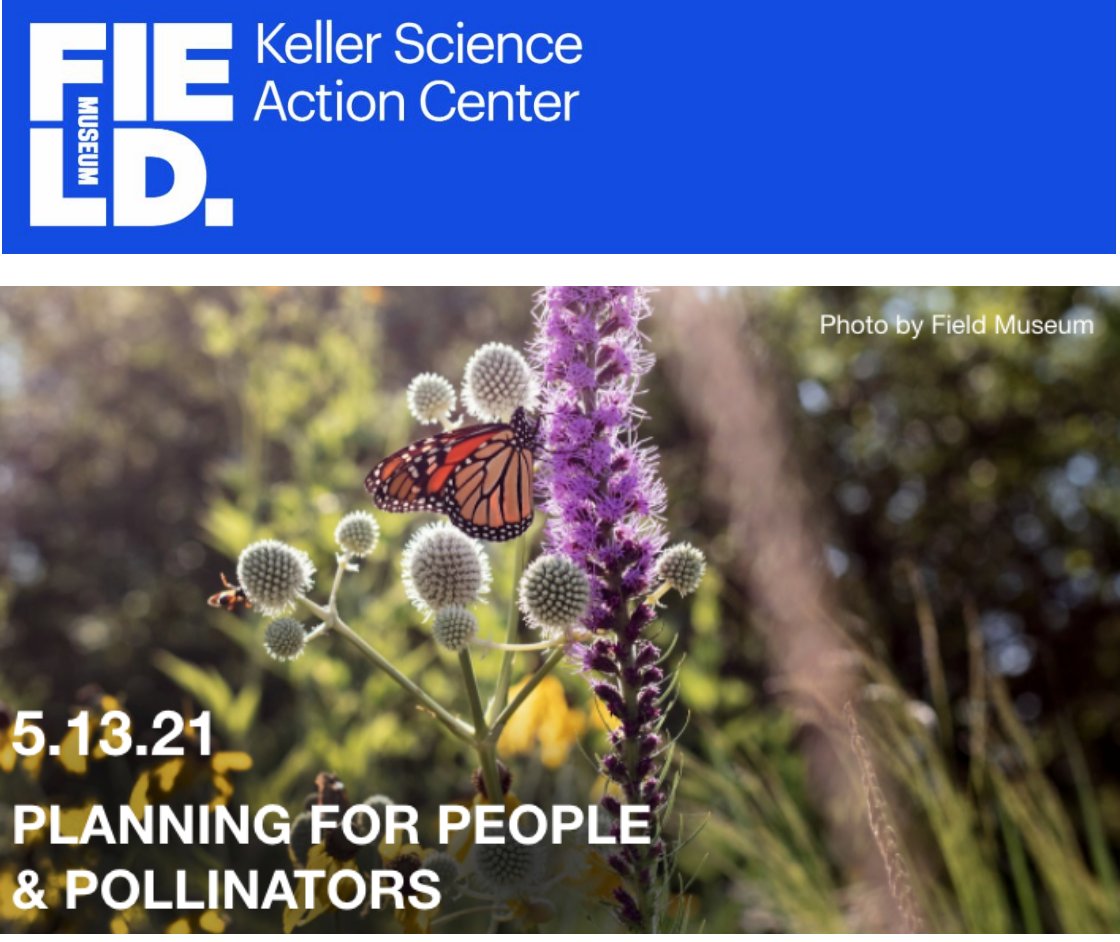 Abigail Derby Lewis tweet media