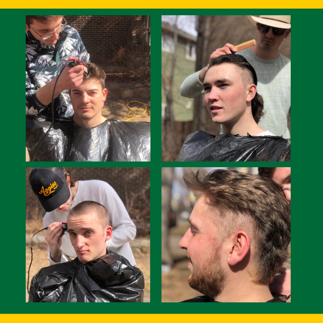 FarmHouse Alberta tweet media