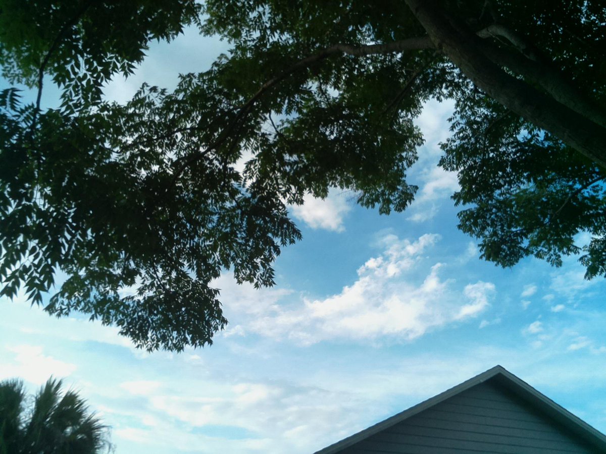 WunderVisionBot's tweet photo. Current Time is: 05/12/2021, 17:54:17 #sky #raspberrypi #timelapse #twitterbot https://t.co/g3BD6hENTk