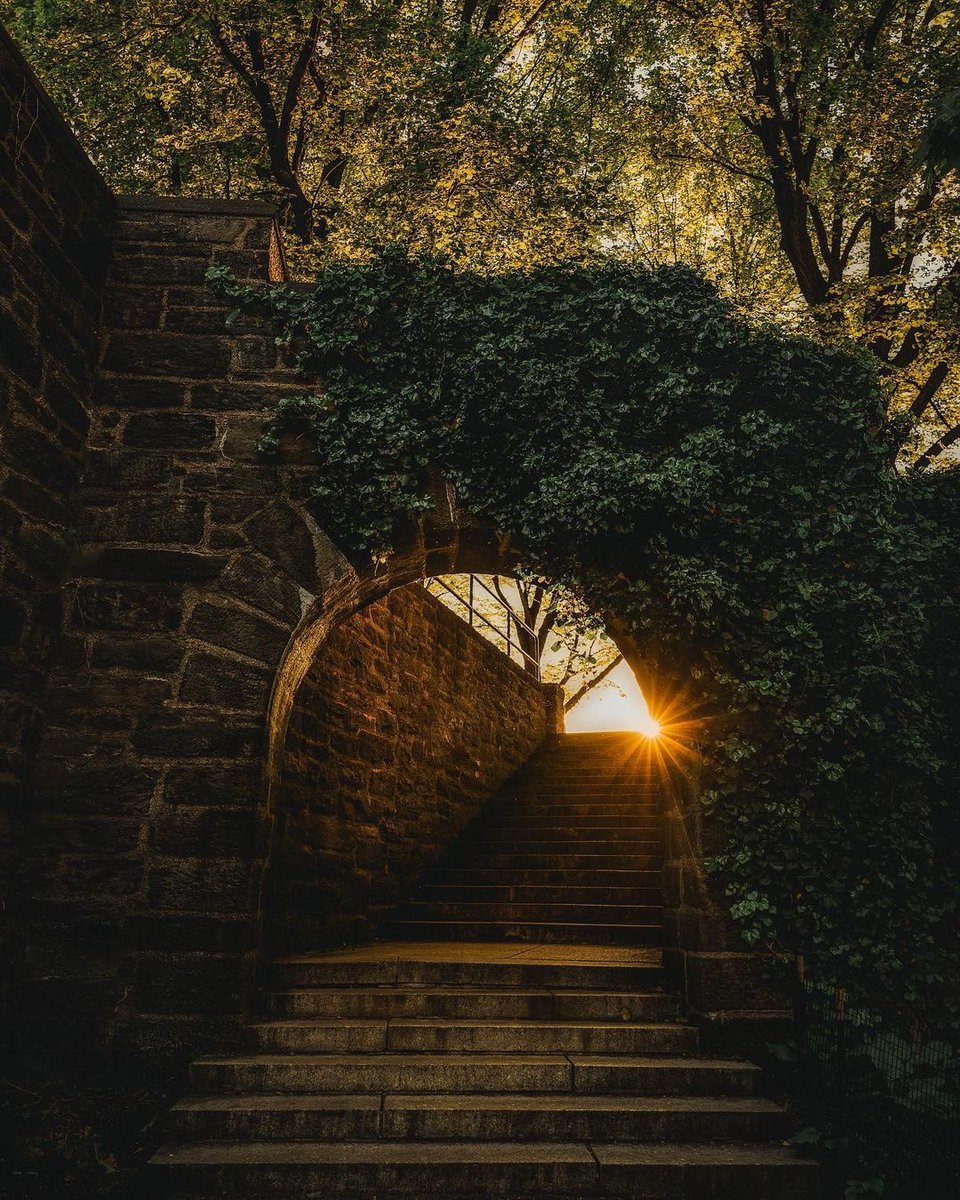 Uptowncollectiv's tweet photo. Magic
📸: #amym.nyc | IG
https://t.co/yFQyER9fzq
#UptownLove #WashingtonHeights #Harlem #Inwood #Dyckman #ElBronx #PlanetUptown https://t.co/vp5vf8TH9H