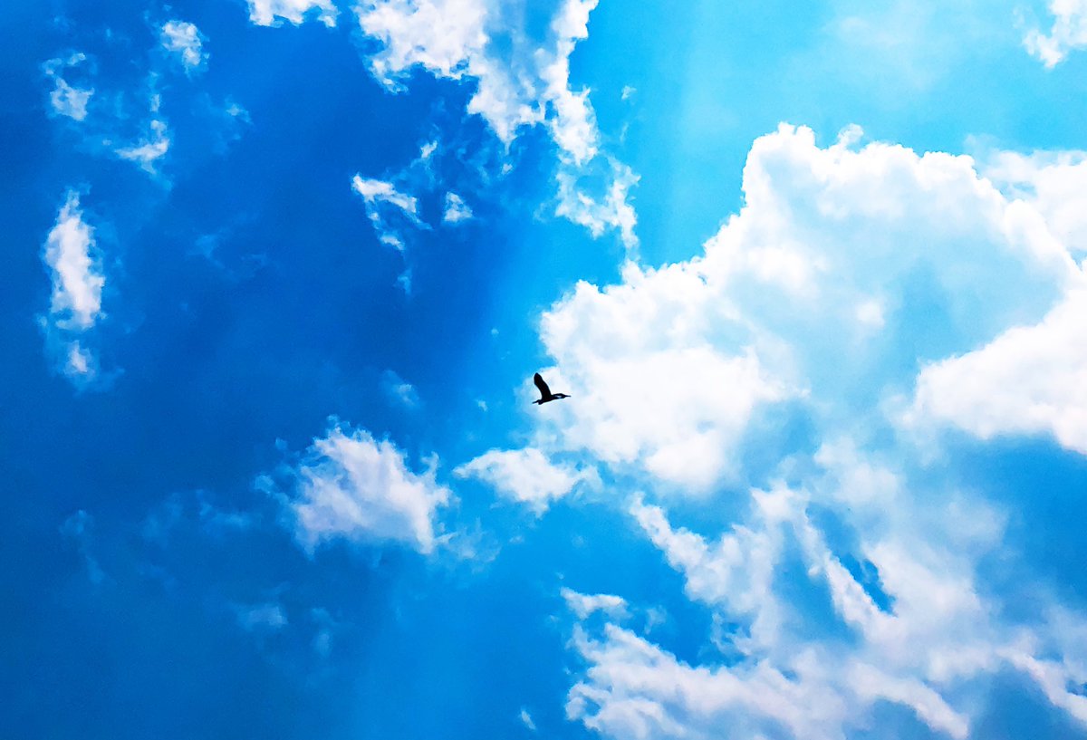 Daniel X Alivenotdead777 Twitter