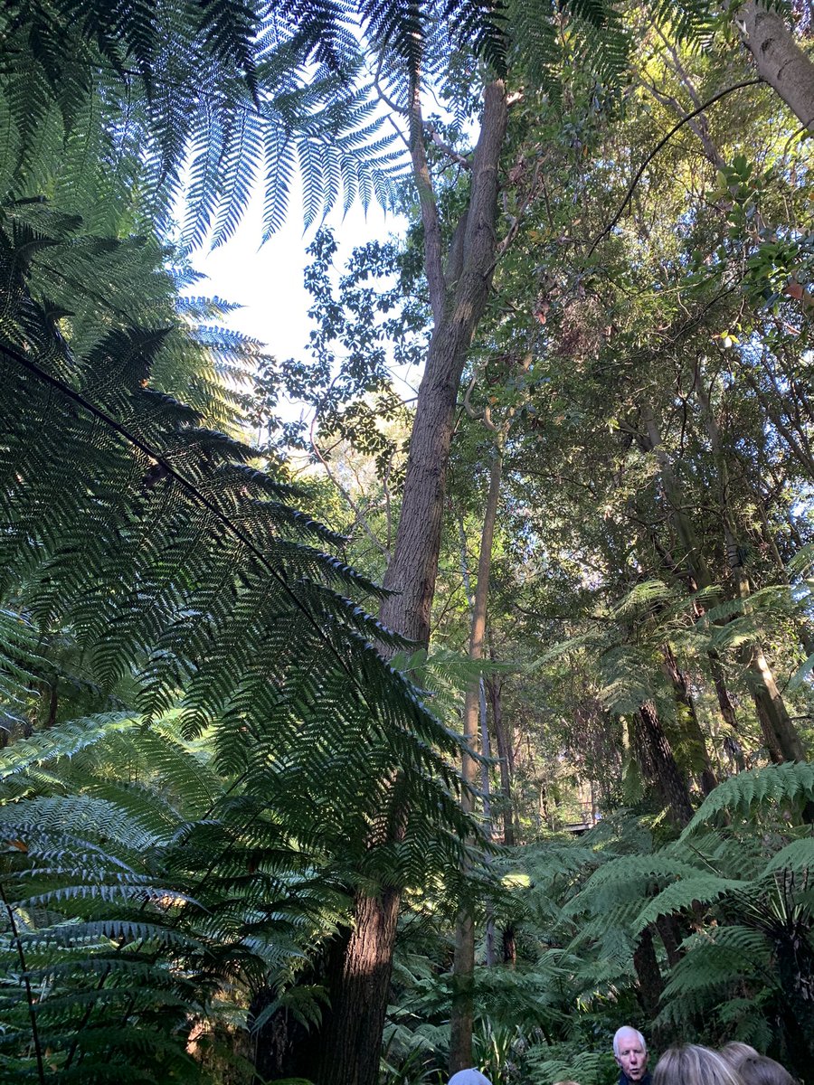 Year 10 students learning about Indigenous flora and sustainable practices at the Australian National Botanic Gardens, Canberra
