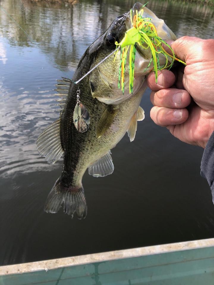 Marksman tweet media