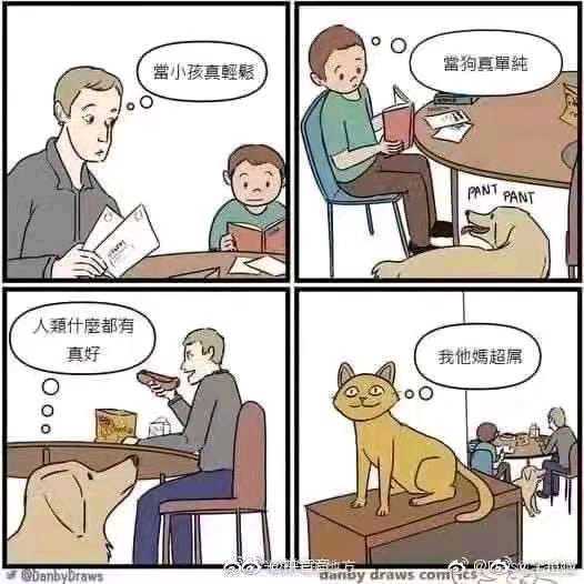 Villy Qiu tweet media