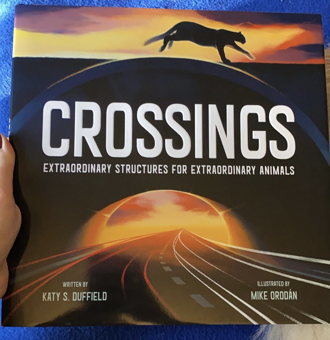 MissClawson8's tweet photo. Geeking out over some new STEM picture books I picked up today! #picturebookfan #STEMeducation #WeNeedDiverseBooks https://t.co/aivhlsoW3W
