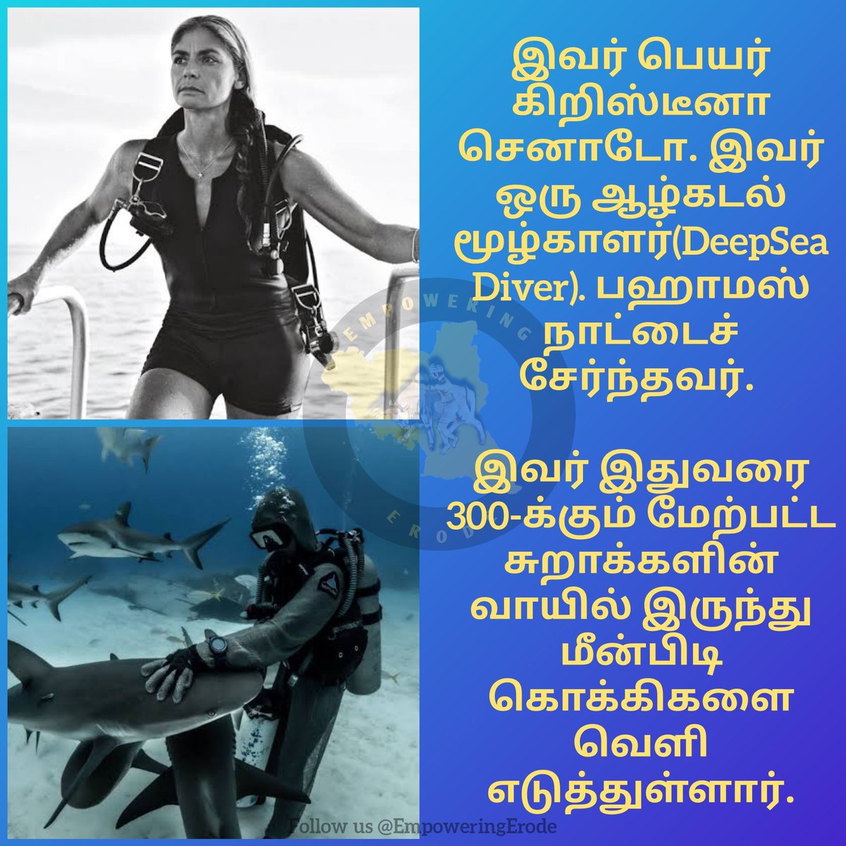IppadikuErodian's tweet photo. Most of us didn't know who she is?
Here it is😎
Kudos mam @CristinaZenato 💐👏
#India #Tamilnadu #DeepSeaDivers #Bahamas #CristinaZenato #SharkDivers #UnknownFacts #Erode #Sharks https://t.co/moYnbnbcjJ