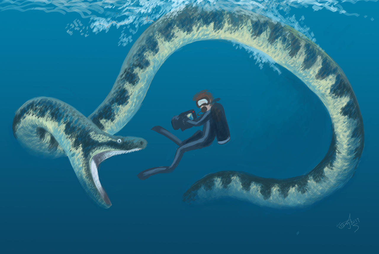 Release The Hodari ???? on Twitter: "For those not familiar, Palaeophis was a  genus of marine and estuarine snakes- unrelated to today's sea snakes- some  of which reached huge size. The Eocene