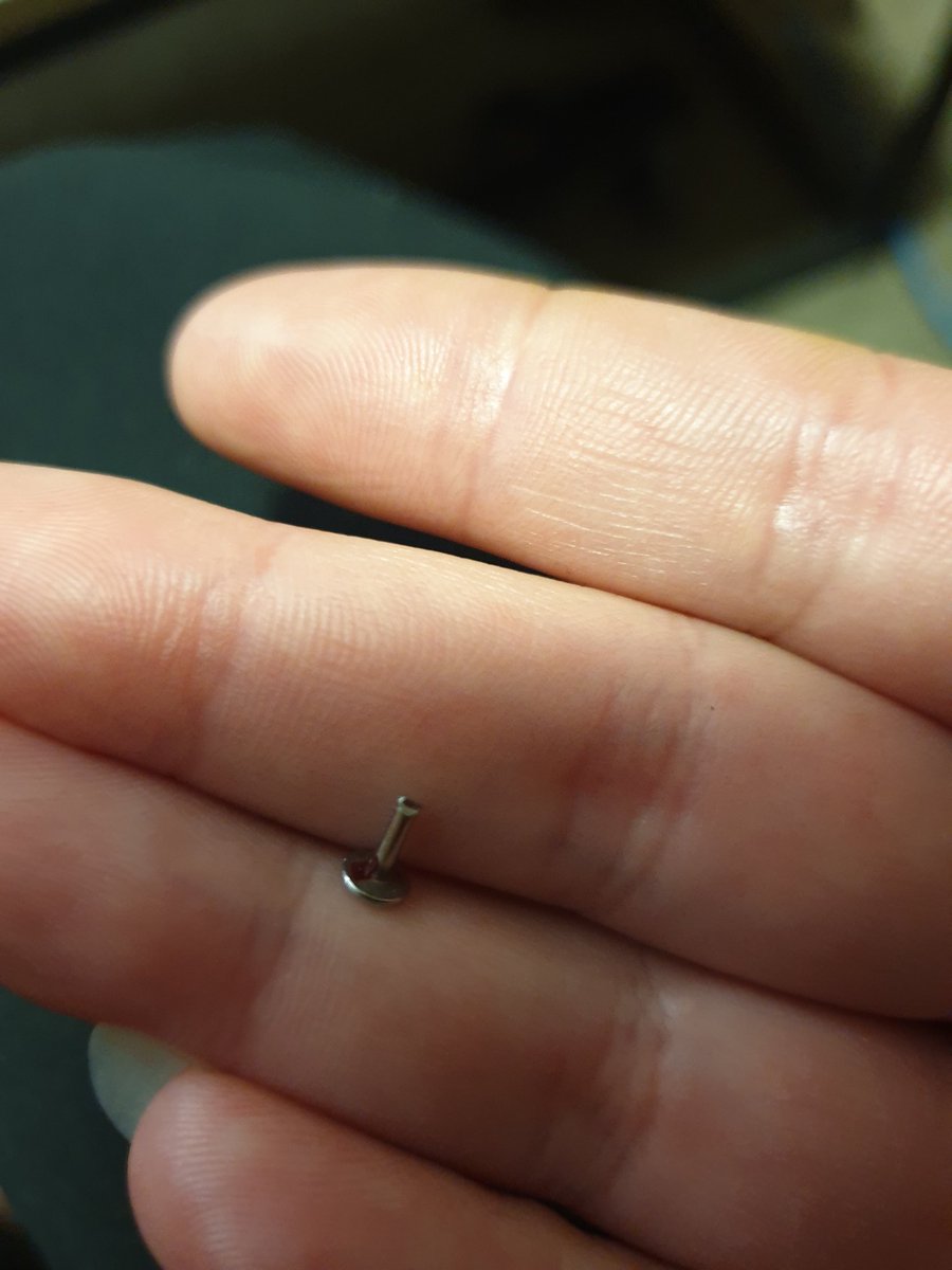 DuckieGoesBoom's tweet image. Old piercing was stuck inside and got infected after a year it being in there, so had to finally get it cut out. Haha. 😖