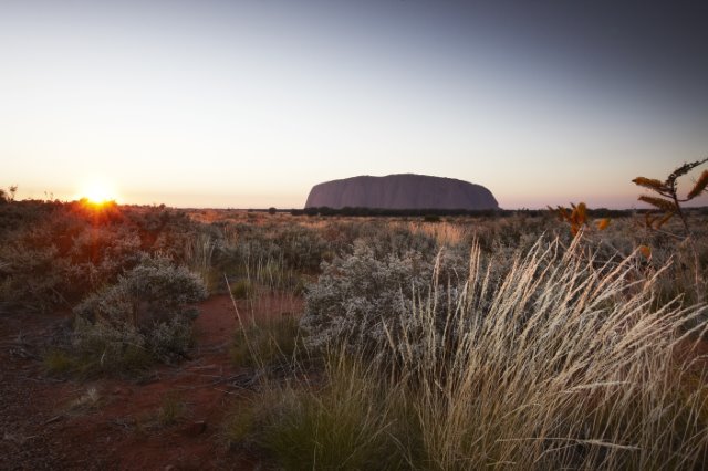 SunCoastAirport's tweet photo. Sunshine Coast to Uluru, direct? ✈ Now you can thanks to @AllianceQQ and @travel_assoc! Join a four-day adventure in the Red Centre from 7-10 October including flights, accommodation and sightseeing for just $2,350. Booking now by calling Travel Associates: 1300 652 981. #Uluru https://t.co/9oZyzKzvQz