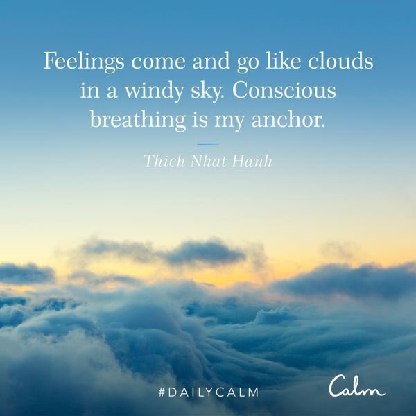 edoballerini's tweet photo. Seeing a @thichnhathanh quote in @calm app made my evening... #Thay #PeaceIsEveryStep 🙏 https://t.co/0DnywKWIKv