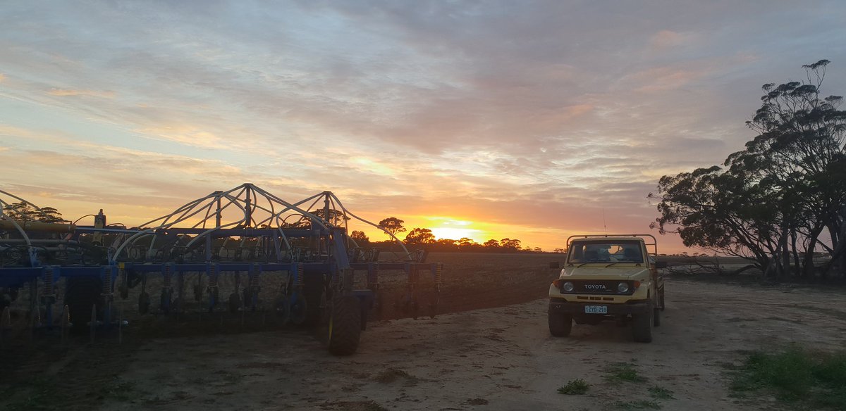 fiona_palmer's tweet photo. #seeding21 I dont mind the long days but my body doesn't like sitting still for that long. #packless lunch box has been rationed π« https://t.co/gQJWlQvwXT