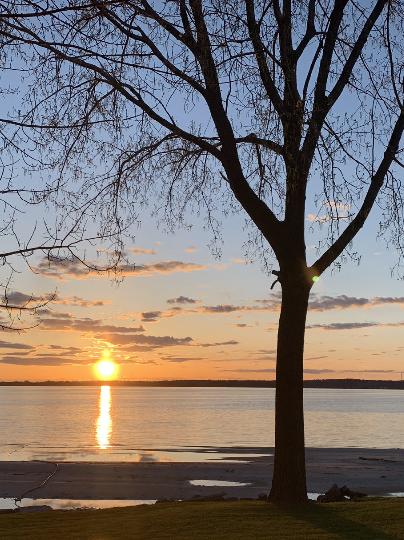 Lake Ontario Waterkeeper tweet media