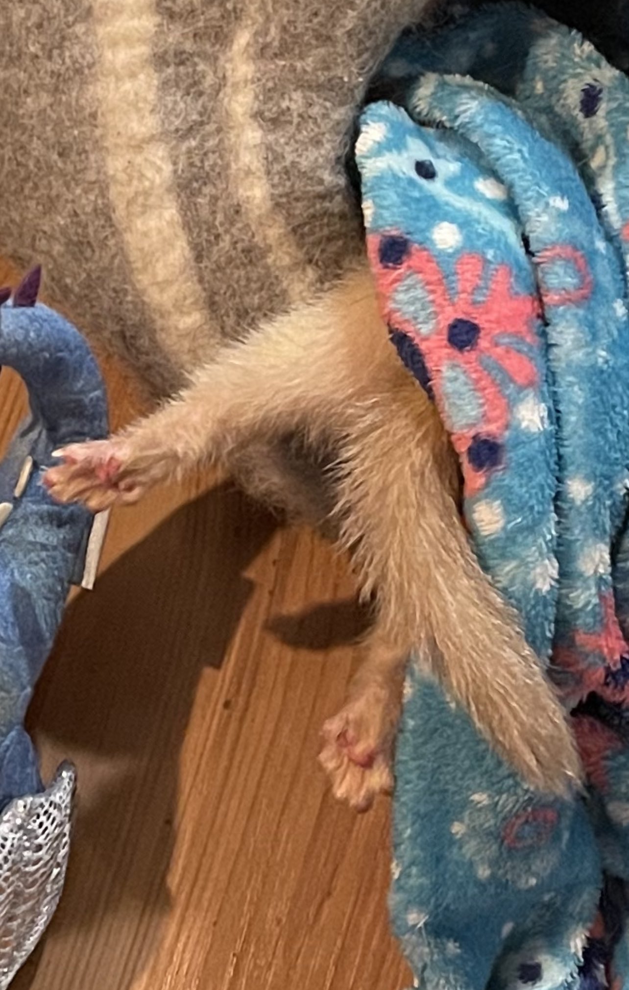 Lizbeth Eden on Twitter "🥺💖 https//t.co/oH0RyRHkO0" / Twitter