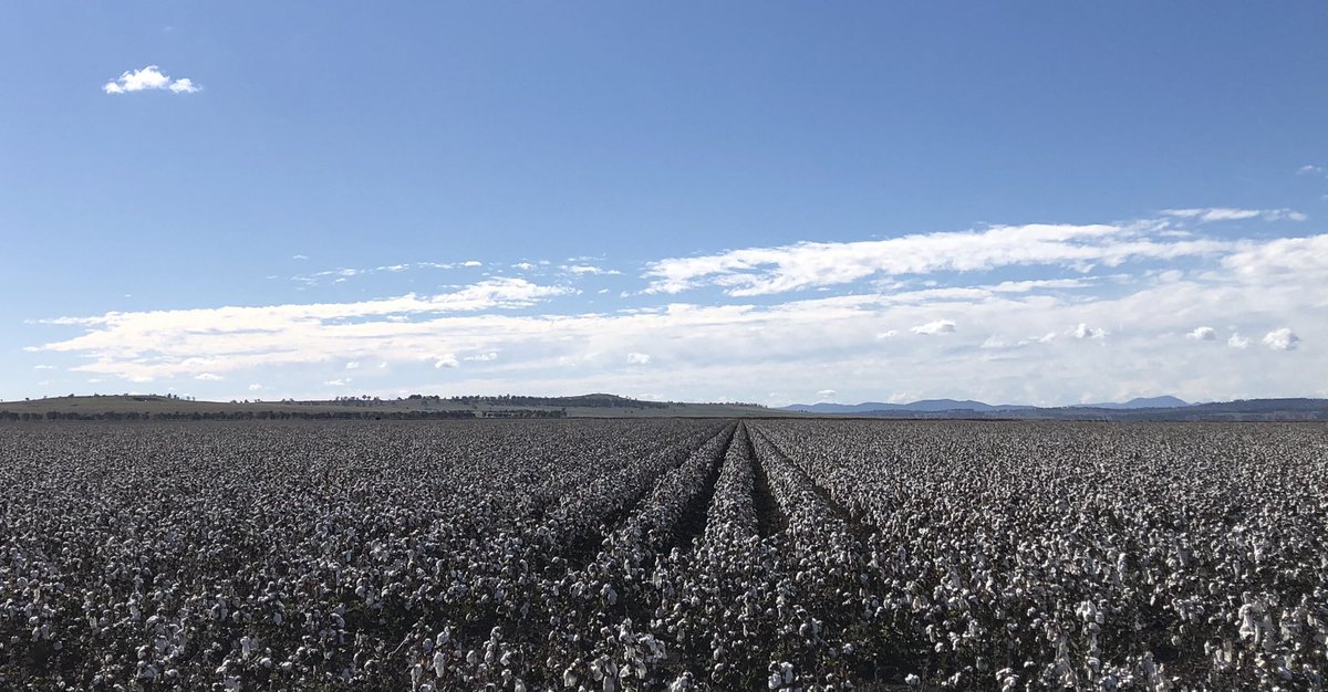 Peter Karam tweet media