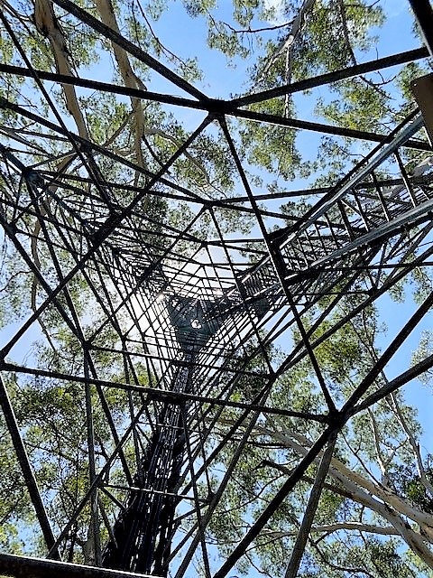Up a windy track on a hill in regional #NSW, our team surveyed this telecommunications site for #Lawyers  and leasing managers to prepare a Lease Plan suitable for registration with NSW Land Registry Services.
#surveyors #registration #leasingagent #landsurveying #startconfident