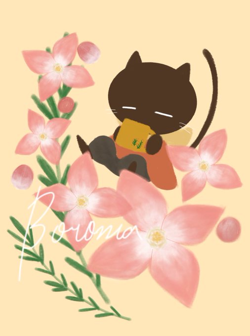 ボロニアのtwitterイラスト検索結果